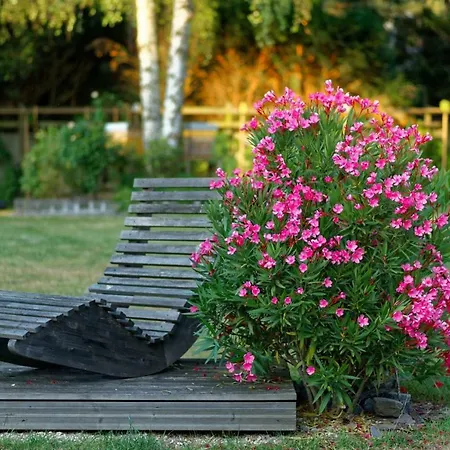 Autour De La Ferme Apartamento *